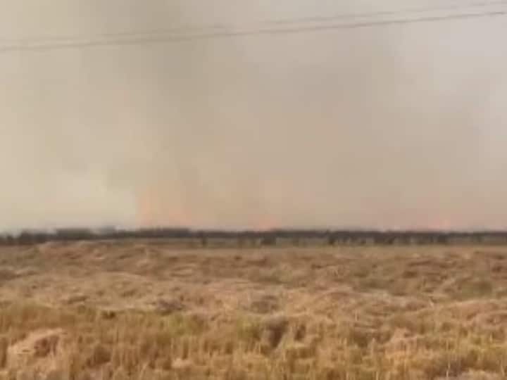 Punjab Stubble Burning Cases Moga And Ludhiana Farmers burnt Parali Agriculture Department takes Action Stubble Burning: पाबंदियों के बावजूद मोगा-लुधियाना में पराली जलाने के अभी तक 321 मामले, कृषि विभाग ने दी कार्रवाई की चेतावनी