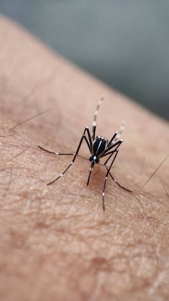 आणखी एका घातक आजाराचा धोका