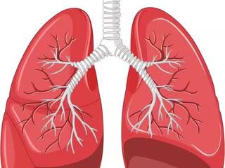 Air Pollution : प्रदुषणामुळे फु्फ्फुसांवर होतोय परिणाम; फुफ्फुसं जपायचे असतील तर आजच 'या' पदार्थांचा आहारात समावेश करा