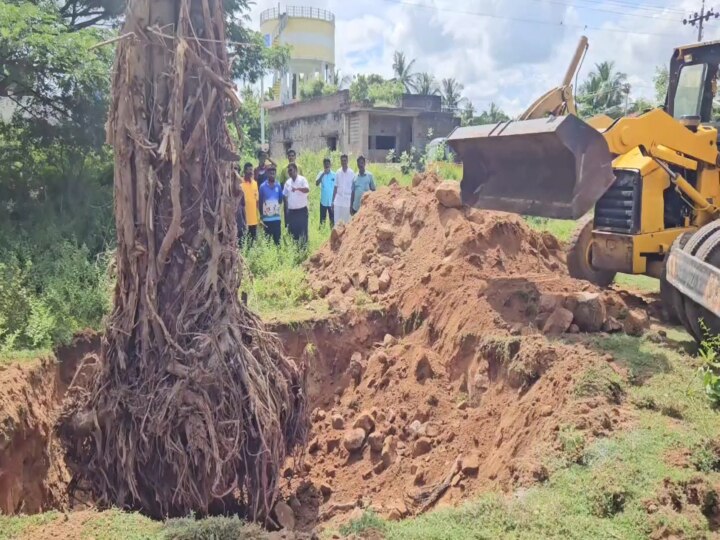 Kanchipuram: மறுவாழ்வுக்காக காத்திருக்கும் ஆலமரம்..!  அரசும் தன்னார்வலர்களும் எடுத்த   முன்னெடுப்பு..!