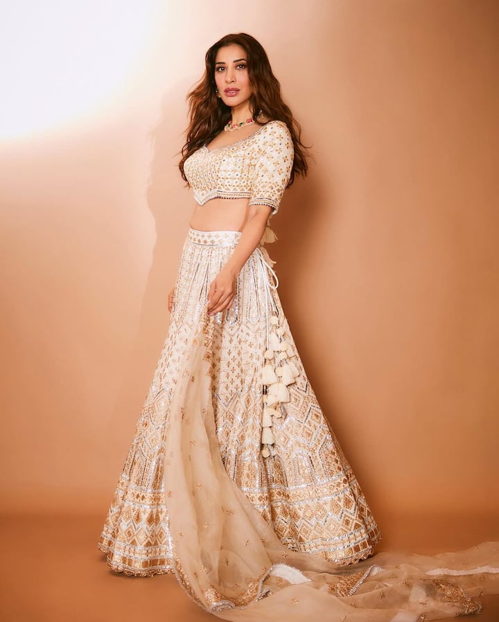 સૌફી ચૌધરીએ પોતાના ઈન્સ્ટાગ્રામ પર ખૂબ જ શાનદાર તસવીરો શેર કરી છે. આ તસવીરોમાં એક્ટ્રેસ નવા લૂકમાં જોવા મળી રહી છે.