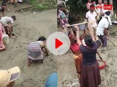 आइए ना हमरा बिहार में...! मछली, शराब और प्याज के बाद अब 'सड़क' लूट, जहानाबाद में गजब हो गया