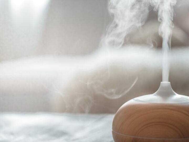 Humidifiers: ह्यूमिडिफ़ायर हवा में नमी जोड़कर इनडोर एयर क्वॉलिटी में सुधार करने में मदद कर सकते हैं जिससे पोल्यूटेंट्स भारी हो सकते हैं और जमीन पर गिर सकते हैं. ह्यूमिडिफ़ायर धूल, पॉलेन और अन्य कणों के स्तर को कम करने के लिए विशेष रूप से सहायक हो सकता है.