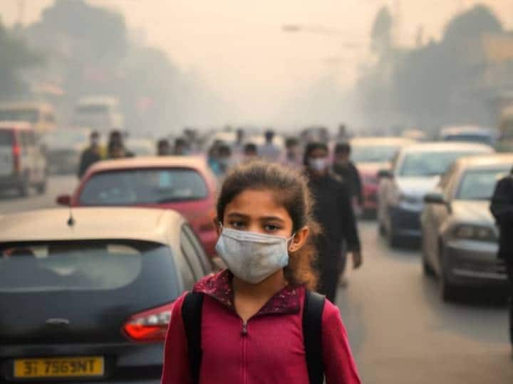Delhi Air Pollution: बाहर निकलते ही यह ट्रिक्स अपनाएं, कुछ नहीं बिगाड़ पाएगी जहरीली हवा