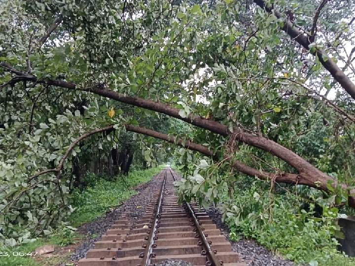 கனமழை காரணமாக மண் சரிவு ; நீலகிரி மலை இரயில் போக்குவரத்து ரத்து