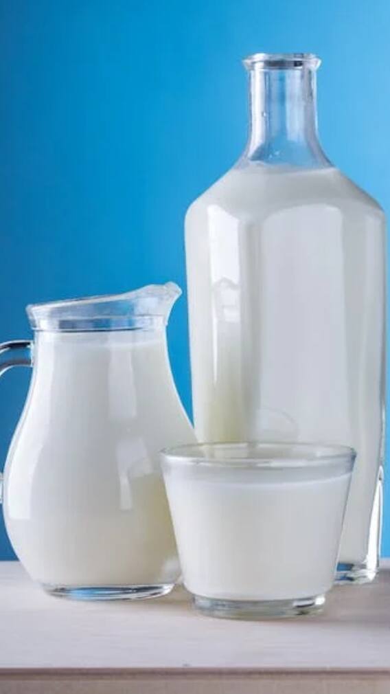 ਕਿਹੜੇ ਜਾਨਵਰ ਦੇ ਦੁੱਧ ਵਿੱਚ ਹੁੰਦਾ ਜ਼ਿਆਦਾ ਪ੍ਰੋਟੀਨ