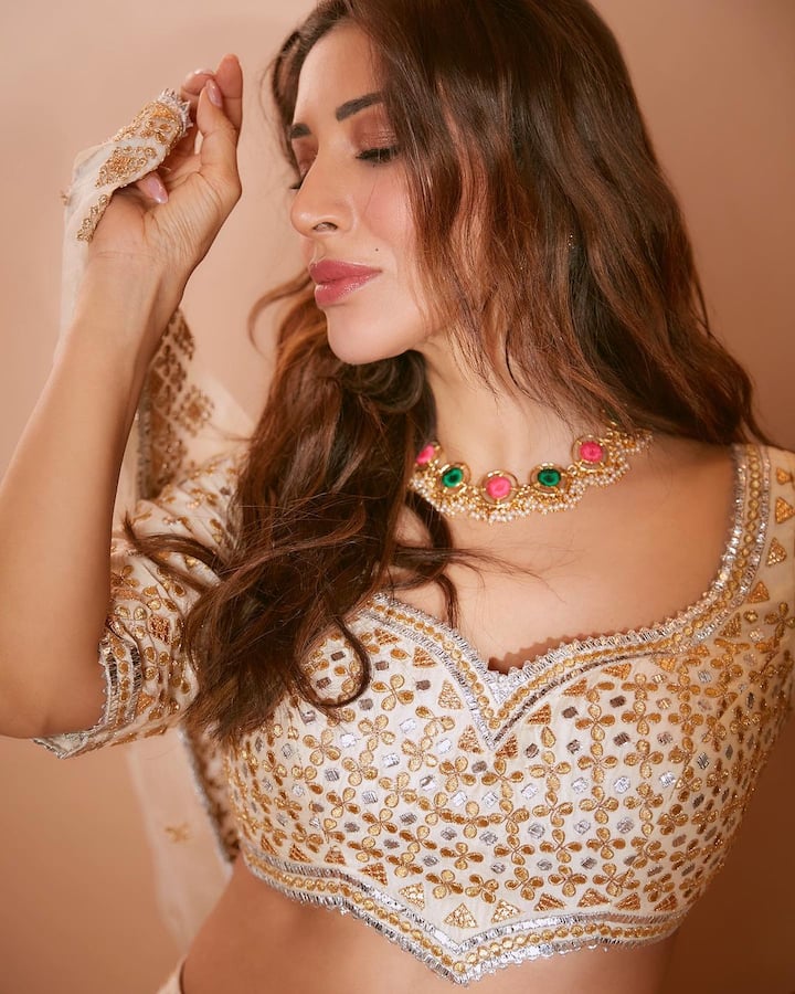 સૌફી ચૌધરી નવા લૂકમાં ખૂબ જ શાનદાર લાગી રહી છે.