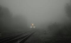 Air Pollution: দীপাবলিতে দূষণের প্রকোপ বেশি, সুস্থ থাকতে মেনে চলুন কিছু নিয়ম