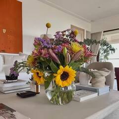 मुंबईत 4BHK अलिशान फ्लॅटमध्ये राहतात राहुल-आथिया, पाहा फोटो