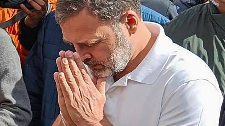 পরে মন্দিরের আরতি-তেও যোগ দিতে দেখা যায় রাহুলকে। পুণ্যার্থীদের 'চা'-এর প্রস্তাবও দেন ওয়েনাড়ের সাংসদ।