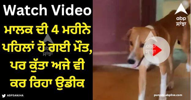 kerala dog waits for late owner return at mortuary door since 4 months video viral Viral Video: ਮਾਲਕ ਦੀ 4 ਮਹੀਨੇ ਪਹਿਲਾਂ ਹੋ ਗਈ ਮੌਤ, ਪਰ ਕੁੱਤਾ ਅਜੇ ਵੀ ਮੁਰਦਾਘਰ ਦੇ ਬਾਹਰ ਖੜ੍ਹਾ ਕਰ ਰਿਹਾ ਉਸਦੀ ਉਡੀਕ, ਦੇਖੋ ਵੀਡੀਓ