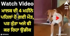Viral Video: ਮਾਲਕ ਦੀ 4 ਮਹੀਨੇ ਪਹਿਲਾਂ ਹੋ ਗਈ ਮੌਤ, ਪਰ ਕੁੱਤਾ ਅਜੇ ਵੀ ਮੁਰਦਾਘਰ ਦੇ ਬਾਹਰ ਖੜ੍ਹਾ ਕਰ ਰਿਹਾ ਉਸਦੀ ਉਡੀਕ, ਦੇਖੋ ਵੀਡੀਓ