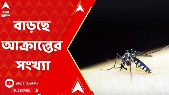 বাড়ছে উদ্বেগ, দেশে সবথেকে বেশি ডেঙ্গি আক্রান্ত পশ্চিমবঙ্গে