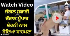 Viral Video: ਜੰਗਲ ਸਫਾਰੀ ਦੌਰਾਨ ਲੋਕਾਂ ਦਾ ਖੂੰਖਾਰ ਸ਼ੇਰਨੀ ਨਾਲ ਹੋਇਆ ਸਾਹਮਣਾ, ਮੌਕਾ ਮਿਲਦਿਆਂ ਹੀ ਕੀਤਾ ਹਮਲਾ, ਦੇਖੋ ਵੀਡੀਓ