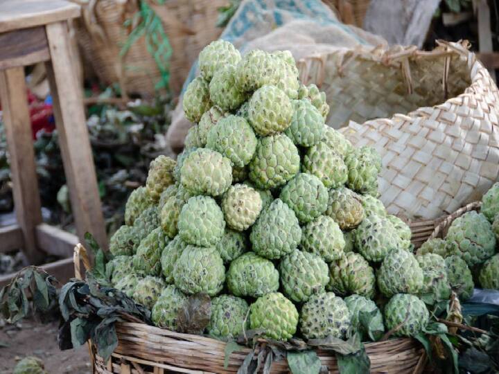 Custard Apple: சீதாப்பழம் Cherimoya என்றழைக்கப்படுகிறது. குளிர்காலத்தில் அதிகமாக விளையும் பழமாகும்.