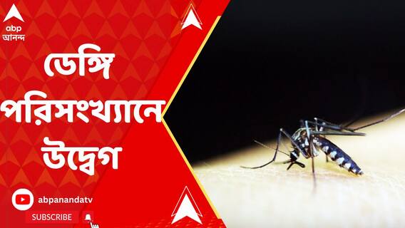 ডেঙ্গি পরিসংখ্যানের ভয়াবহ ছবি বাংলায়