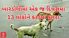 Surat Dog Terror | બારડોલીમાં માત્ર એક જ દિવસમાં કૂતરાએ 13 લોકોને ભર્યા બચકા અને પછી...