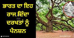 Pension To Trees: ਭਾਰਤ ਦਾ ਇਹ ਰਾਜ ਦਿੰਦਾ ਦਰਖਤਾਂ ਨੂੰ ਪੈਨਸ਼ਨ, ਜਾਣੋ ਕਿਵੇਂ ਮਿਲ ਸਕਦਾ ਫਾਇਦਾ