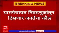 Gadchiroli Gram Panchayat Elections : गडचिरोली,गोंदिया नक्षलग्रस्त भागात 3 वाजेपर्यंत मतदानाची वेळ