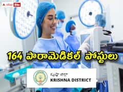 కృష్ణా జిల్లాలో 164 పారామెడికల్ పోస్టులు - అర్హతలు, ఎంపిక విధానం ఇలా