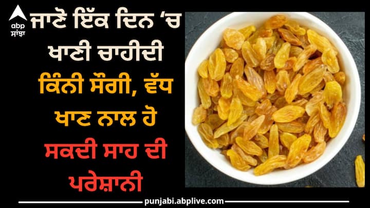 Raisins: ਆਓ ਜਾਣਦੇ ਹਾਂ ਕਿ ਇੱਕ ਦਿਨ ਵਿੱਚ ਕਿੰਨੇ ਗ੍ਰਾਮ ਸੌਗੀ ਖਾਧੀ ਜਾ ਸਕਦੀ ਹੈ। ਬਹੁਤ ਜ਼ਿਆਦਾ ਸੌਗੀ ਖਾਣ ਨਾਲ ਸਰੀਰ ਨੂੰ ਹੋ ਸਕਦਾ ਹੈ ਨੁਕਸਾਨ...