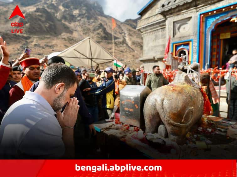 Congress MP Of Wayanad Rahul Gandhi Worships At Kedarnath Temple Of Uttarakhand Rahul Gandhi:৫ রাজ্যের বিধানসভা ভোটের মুখে কেদারনাথ মন্দির দর্শনে রাহুল গাঁধী