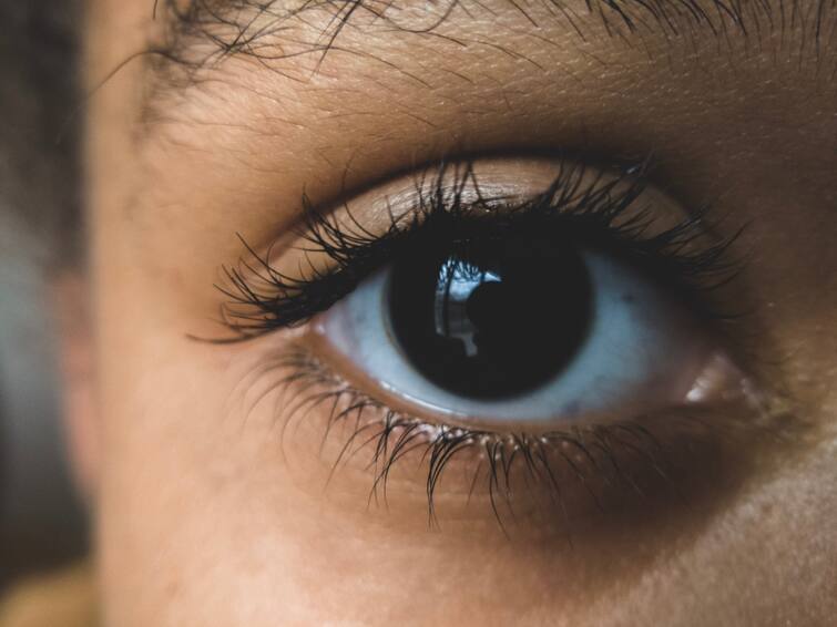 tips to protect your eyes from pollution here is the details Eye Care Tips: রাস্তাঘাটে ধুলোবালি থেকে চোখকে সুরক্ষিত রাখতে কী কী সতর্কতা অবলম্বন করবেন?