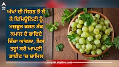 Amla: ਅੱਖਾਂ ਦੀ ਸਿਹਤ ਤੋਂ ਲੈ ਕੇ ਇਮਿਊਨਿਟੀ ਨੂੰ ਮਜ਼ਬੂਤ ਕਰਨ ਤੱਕ ਕਮਾਲ ਦੇ ਫਾਇਦੇ ਦਿੰਦਾ ਆਂਵਲਾ, ਇਸ ਤਰ੍ਹਾਂ ਕਰੋ ਆਪਣੀ ਡਾਈਟ ‘ਚ ਸ਼ਾਮਿਲ