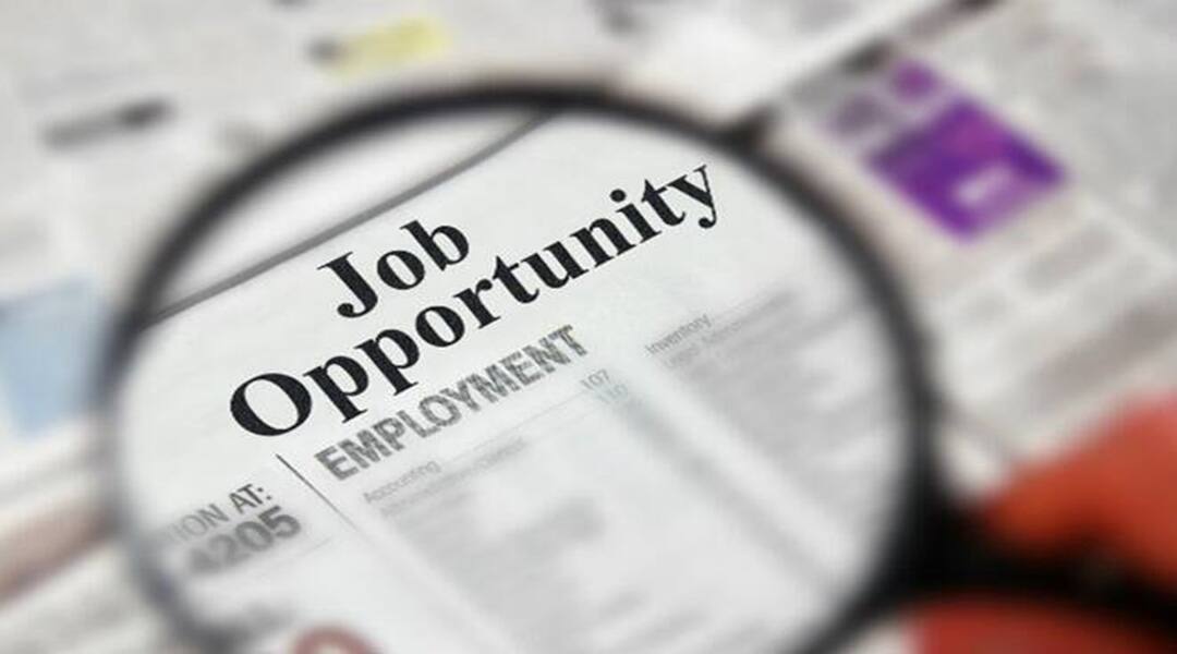 Govt Jobs 2023: સરકારી નોકરી માટે આકર્ષક પગાર સાથે આ પદ પર થઇ રહી છે ભરતી, જાણો કેવી રીતે કરશો અપ્લાય Recruitment is going on for this post with attractive salary for government jobs, know how to apply Govt Jobs 2023: સરકારી નોકરી માટે આકર્ષક પગાર સાથે આ પદ પર થઇ રહી છે ભરતી, જાણો કેવી રીતે કરશો અપ્લાય