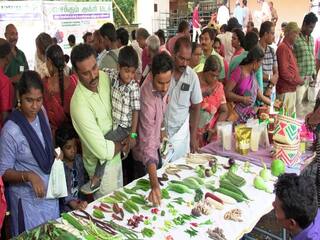 ஈஷா மண் காப்போம் இயக்கம் சார்பில் பிரம்மாண்டமாக நடந்த பாரம்பரிய காய்கறி திருவிழா.. 2 ஆயிரம் விவசாயிகள் பங்கேற்பு