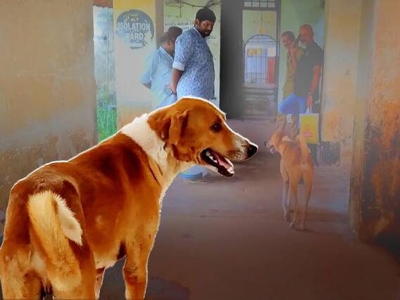 యజమాని మృతి.. అది తెలియక మార్చురీ చుట్టు తిరుగుతున్న శునకం