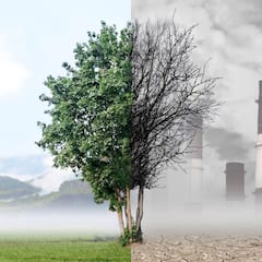 Air Pollution: ਚਿਤਾਵਨੀ! ਹਵਾ ਪ੍ਰਦੂਸ਼ਣ ਬਣ ਸਕਦਾ ਹੈ ਕੈਂਸਰ, ਸਟ੍ਰੋਕ ਤੇ ਦਿਲ ਦੇ ਦੌਰੇ ਦਾ ਕਾਰਨ