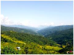 Manipur Village Bans Animal Hunting For 3 Years. CM Biren Singh Says 'Remarkable Step'