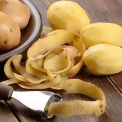 Potato Peel Benefits: ਆਲੂ ਤੋਂ ਜ਼ਿਆਦਾ ਗੁਣਕਾਰੀ ਹੈ ਇਸਦਾ ਛਿਲਕਾ