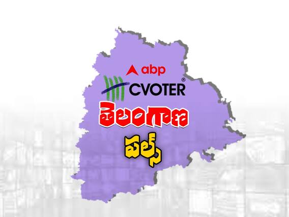 ABP-CVoter Opinion Poll 2023 | నిరుద్యోగం, నిత్యావసరాలు దెబ్బతీస్తాయా..? | ABP Desam