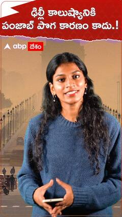 ఢిల్లీ కాలుష్యానికి పంజాబ్ పొగ కారణం కాదు.!