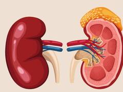 Health Tips:  Air Pollution किडनी के लिए भी है खतरनाक, बचकर रहें वरना हो सकती है ये बीमारी