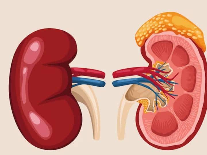 अभी जो हवा की स्थिति है और वह जिस तरीके से गैस चैंबर बना हुआ है वह सिर्फ हार्ट या लंग्स के लिए ही नहीं बल्कि लिवर-किडनी के लिए भी खतर  हो सकनाक साबित हो सकता है.  पूरे वक्त घर में रहना भी मुश्किल है आपको किसी न किसी काम की वजह से बाहर निकलना पड़ता ही है. चाहे वह ऑफिस या किसी काम के सिलसिले में. आज आपको आयुर्वेद के हिसाब से कुछ खास टिप्स बताएंगे जिसकी मदद से आप अपनी लिवर-किडनी को इसे पॉल्यूशन में बूस्ट रख सकते हैं.