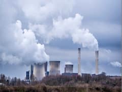 Pollution: अब जरा सी खांसी कर सकती है आपको लंबे समय तक परेशान, दिखें ये लक्षण तो तुरंत हो जाएं सावधान