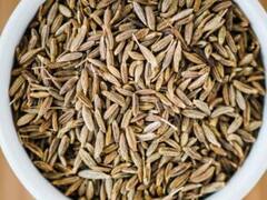 Cumin Seeds: શાકભાજી કે કઠોળમાં જીરાનો વધુ પડતો ઉપયોગ લીવર માટે જોખમી છે