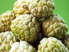 Custard Apple: রক্তচাপের মাত্রা নিয়ন্ত্রণে রাখে, খেয়াল রাখে ত্বকের, বৃদ্ধি করে হজমশক্তি, আর কী কী গুণ রয়েছে আতা ফলের মধ্যে?