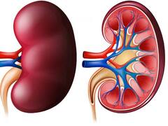 Health Tips:  Air Pollution किडनी के लिए भी है खतरनाक, बचकर रहें वरना हो सकती है ये बीमारी