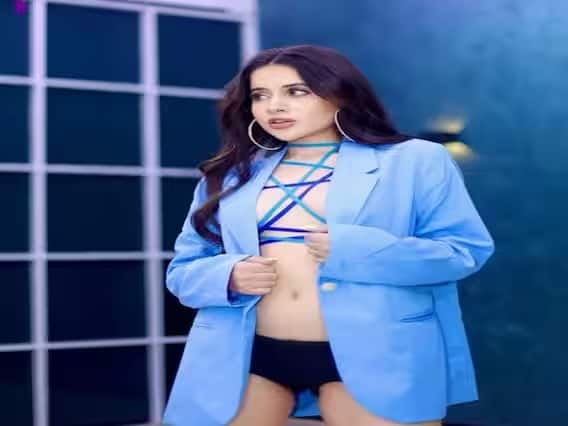 দুর্গা, সাথ ফেরো কি হেরা ফেরি, জিজি মা-র মতো অনেক সিরিয়ালে কাজ করা উরফি জাভেদের আয় কোটি কোটি টাকা। মাত্র কয়েক বছরে বিপুল সম্পদের অধিকারী হয়েছেন তিনি।
