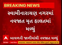 Jamnagar News | જામનગરમાં મૃત નવજાત બાવળની જાળીમાંથી મળી આવ્યું, પોલીસે હાથ ધરી તપાસ