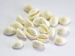 Dhanteras 2023: ਧਨਤੇਰਸ ’ਤੇ ਇਨ੍ਹਾਂ ਚੀਜ਼ਾਂ ਦਾ ਨਜ਼ਰ ਆਉਣ ਮੰਨਿਆ ਜਾਂਦਾ ਸ਼ੁੱਭ, ਮਾਤਾ ਲਕਸ਼ਮੀ ਦੀ ਹੁੰਦੀ ਕਿਰਪਾ