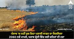 Punjab News: ਪੰਜਾਬ 'ਚ ਨਹੀਂ ਰੁਕ ਰਿਹਾ ਪਰਾਲੀ ਸਾੜਨ ਦਾ ਸਿਲਸਿਲਾ, 2060 ਨਵੇਂ ਮਾਮਲੇ, ਖਰਾਬ ਸ਼੍ਰੇਣੀ ਵਿੱਚ ਕਈ ਸ਼ਹਿਰਾਂ ਦੀ ਹਵਾ