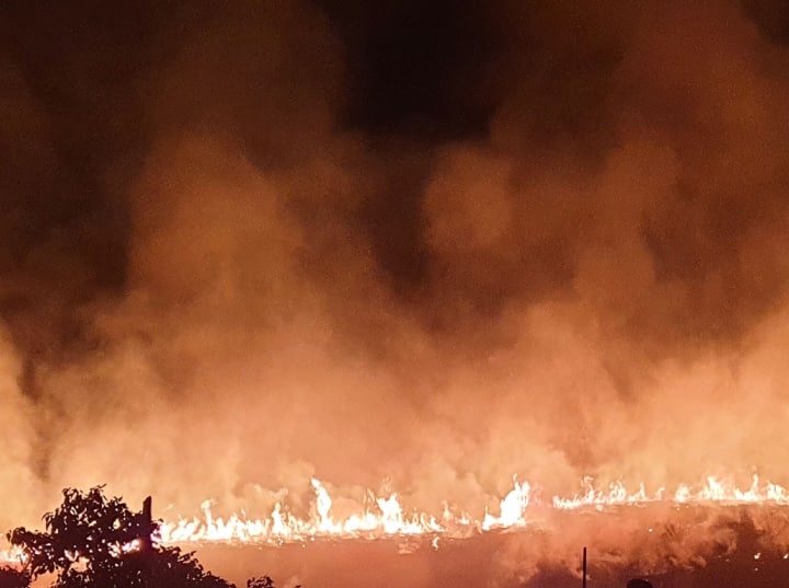 Uttarakhand massive fire broke out in hills above Kankhu Barrier in Gangotri National Park Forest Fire: गंगोत्री नेशनल पार्क के ऊपर पहाड़ियों में लगी भीषण आग, बुझाने की कोशिशें जारी