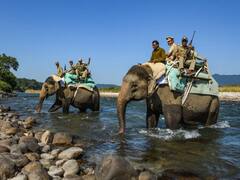 उत्तराखंड में दिवाली से पहले सभी वन कर्मियों की छुट्टियां रद्द, विभाग ने बताई ये वजह