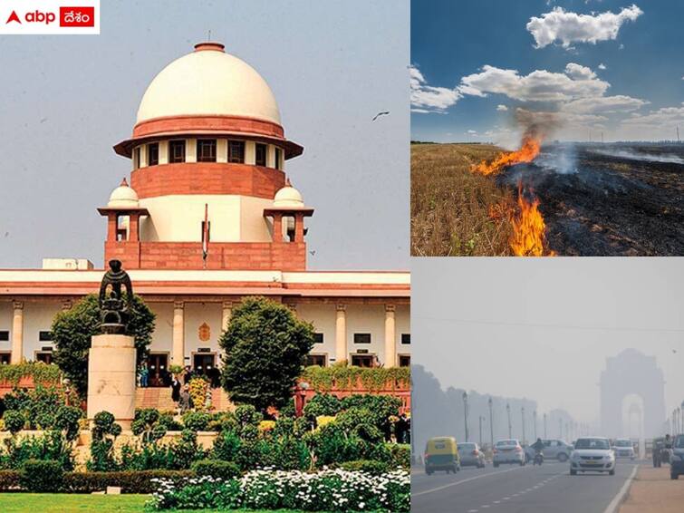 supreme court serious on states against air pollution due to crop residue burning Air Pollution: 'పంట వ్యర్థాలు కాల్చడం హత్యతో సమానం' - వాయు కాలుష్యంపై సుప్రీంకోర్టు తీవ్ర ఆగ్రహం