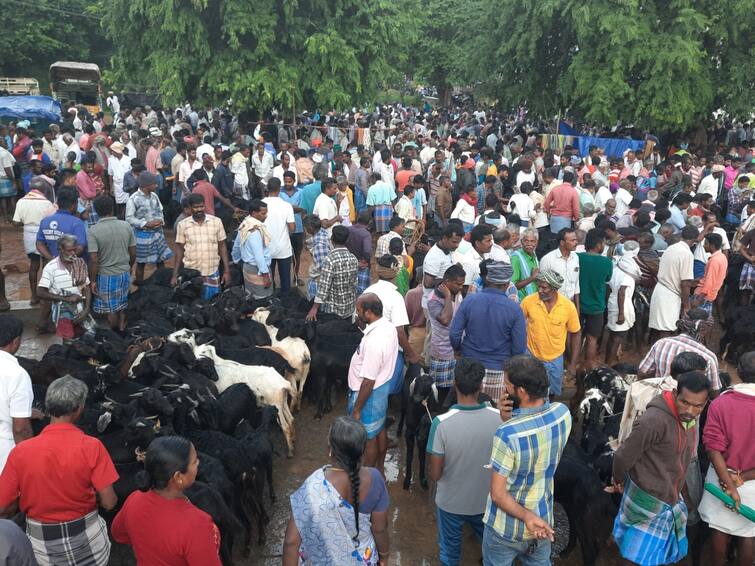 Dharmapuri Nallampalli weekly market Rs. Goats sold for 2 crore traders are happy TNN நல்லம்பள்ளி வாரச் சந்தையில் ரூ. 2 கோடிக்கு  ஆடுகள் விற்பனை - வியாபாரிகள் மகிழ்ச்சி